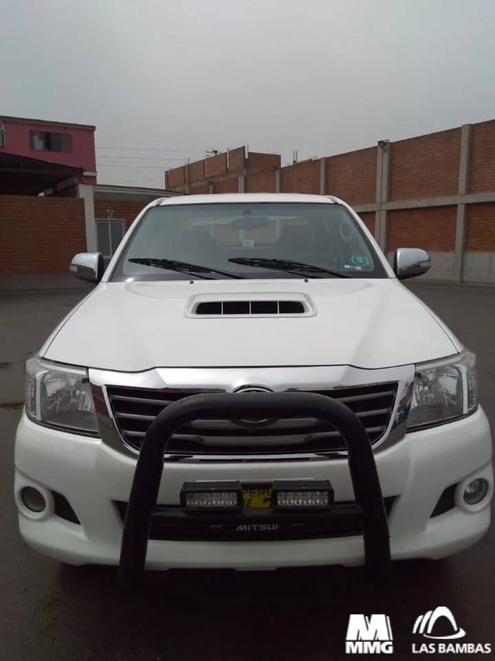 Imagen del Vehículo